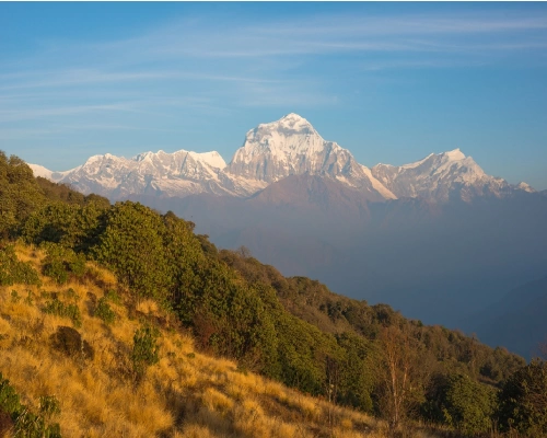  Ghorepani Poon Hill Trek  Days Cost